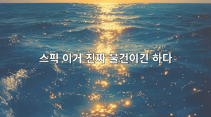 스픽 활용성